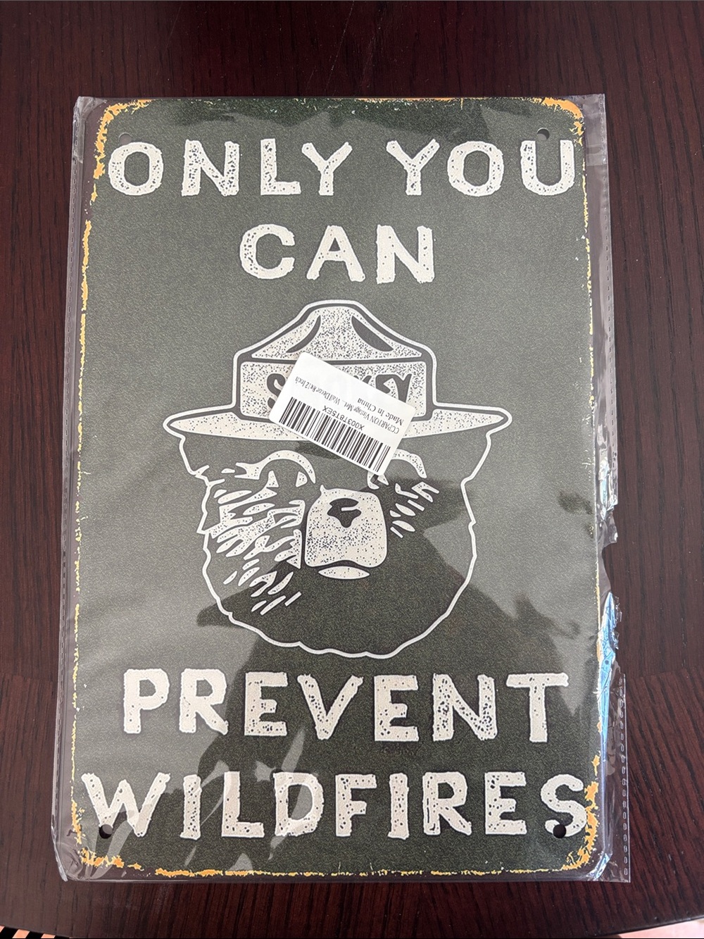 Smokey Bear 'Only You Can Prevent Wildfires' Metal Sign - Green & White